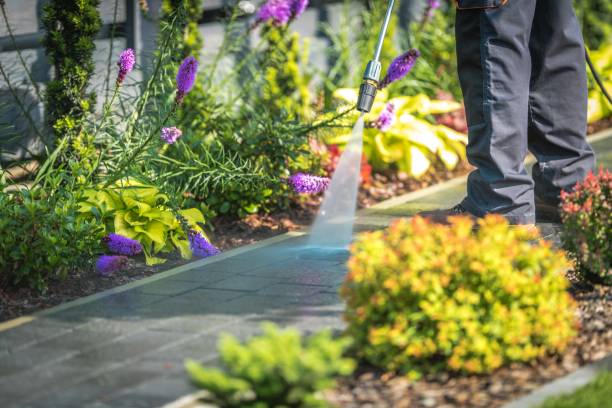 Best Warehouse Cleaning  in Centerville, CA