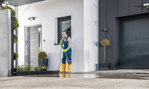 Best Soft Washing  in Centerville, CA
